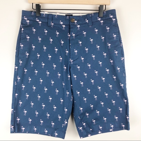 J. Crew Factory Other - J. Crew Flamingo Flat Front Shorts Blue Pink 30